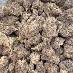 Berry Breeze (Hybrid)
