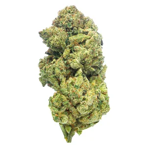 Gorilla Glue (Hybrid)