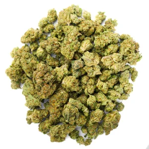 Gorilla Glue (Indica)