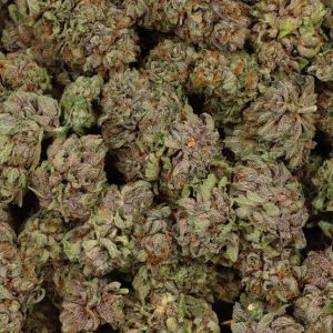 Jolly Ranchers Indoor (Indica)